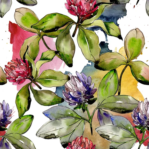 Flor de trevo de flor silvestre em um padrão de estilo aquarela . — Fotografia de Stock