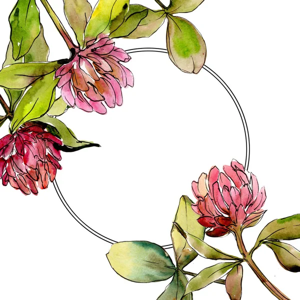 Flor de trébol de flor silvestre en un marco de estilo acuarela . — Foto de Stock