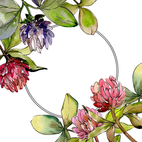 Wildflower klaver bloem in een aquarel stijl frame. — Stockfoto