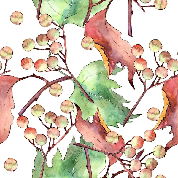 Viburnum lämnar i en akvarell stil mönster. — Stockfoto