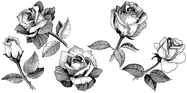 Flor silvestre rosa en un estilo vectorial aislado . — Archivo Imágenes Vectoriales