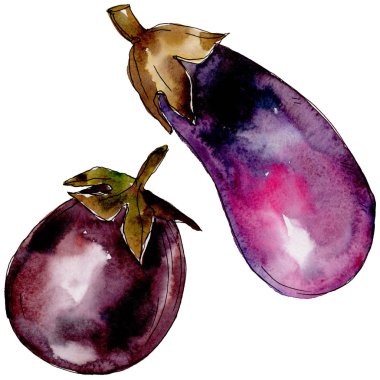 Patlıcan yabani sebze izole bir suluboya tarzında.