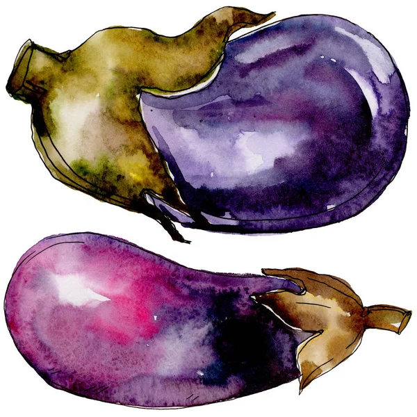 Vegetais silvestres de berinjela em estilo aquarela isolados . — Fotografia de Stock