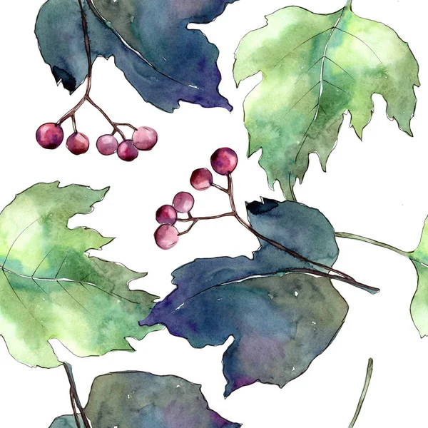 Viburnum foglie in un modello in stile acquerello . — Foto Stock