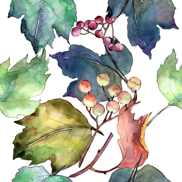 Viburnum hojas en un patrón de estilo acuarela . —  Fotos de Stock