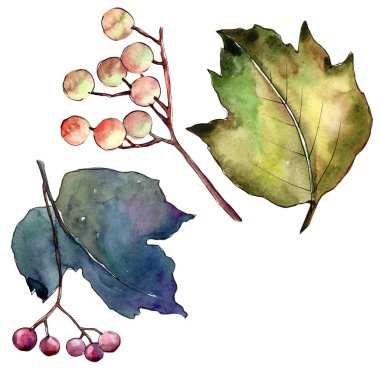 Kartopu izole bir suluboya tarzında bırakır.