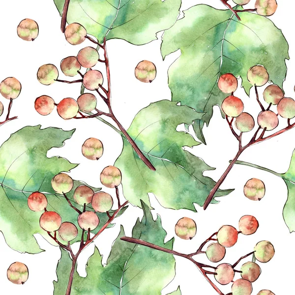 Viburnum folhas em um padrão de estilo aquarela . — Fotografia de Stock
