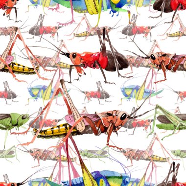 Vahşi egzotik cırcır böcek bir suluboya tarzı desen.