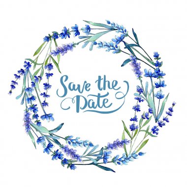 Mavi lavanta. Botanik çiçek. Vahşi bahar yaprak kır çiçeği çerçeve suluboya tarzında.