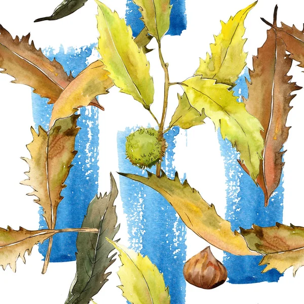 Castanha de folhas doces em um padrão de estilo aquarela . — Fotografia de Stock