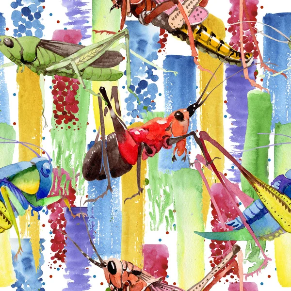 Экзотические сверчки дикие насекомые в стиле акварели . — стоковое фото