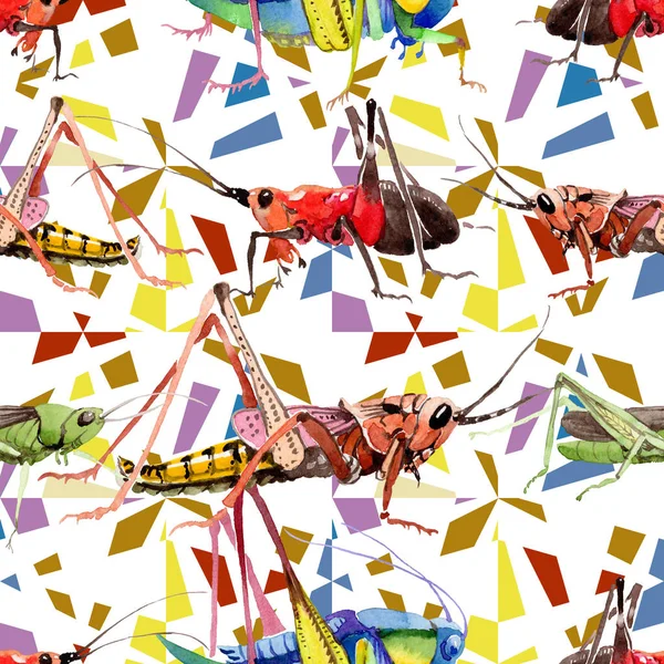 Grilli esotici insetto selvatico in un modello in stile acquerello . — Foto Stock
