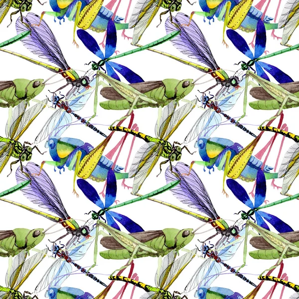 Exotic crickets wild insect in a watercolor style pattern.