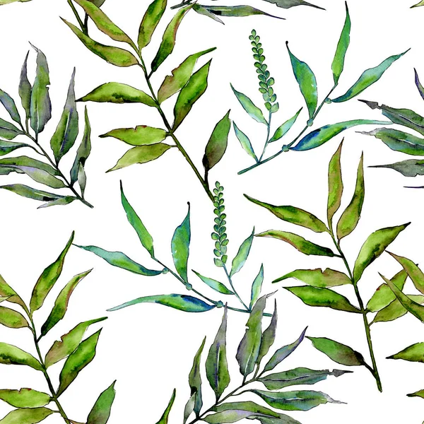 Vrbové větve v akvarel styl vzorku. — Stock fotografie