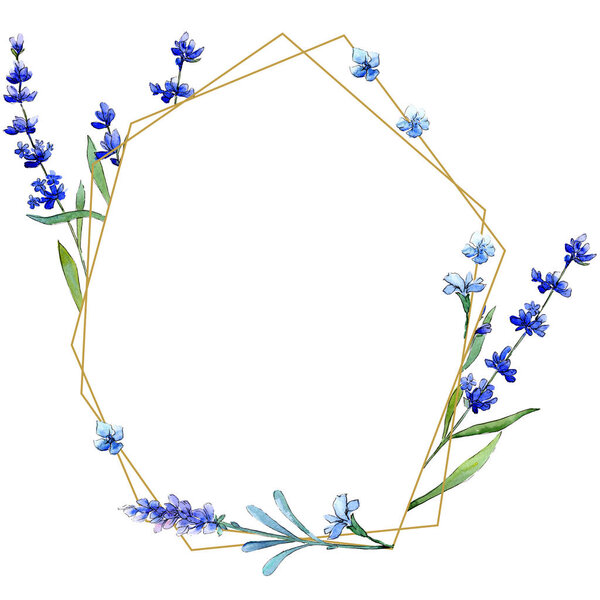 Blue lavender. Floral botanical flower. Wild spring leaf wildflower frame in a watercolor style.