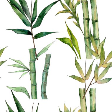 Bambu ağacı desen suluboya tarzında.