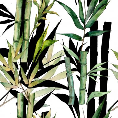 Bambu ağacı desen suluboya tarzında.