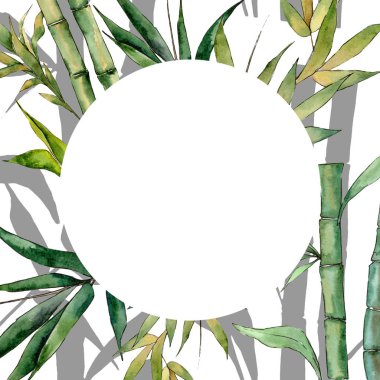 Bambu ağacı çerçeve suluboya tarzında.