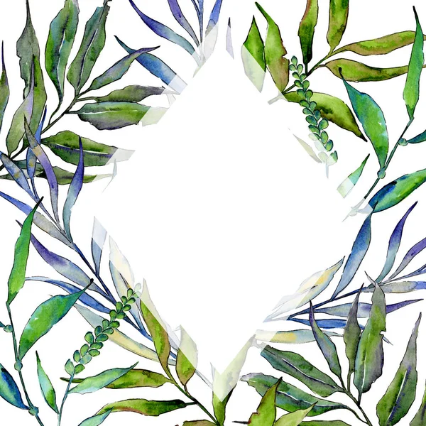 Willow branches in a watercolor style frame. — Stock Photo, Image