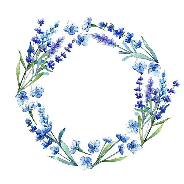 Niebieska lawenda. Botaniczny kwiat kwiatowy. Wiosna dzikiego liść wildflower rama w stylu przypominającym akwarele. — Zdjęcie stockowe