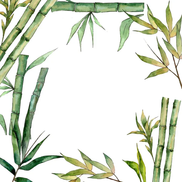Bamboo tree frame in a watercolor style.