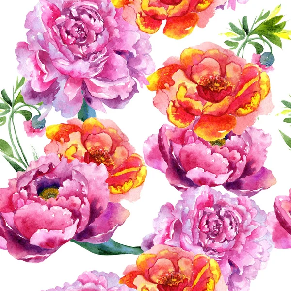 Wildblumen-Pfingstrose rosa Blütenmuster im Aquarell-Stil. — Stockfoto