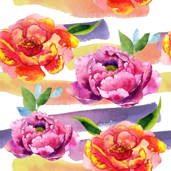 Wildflower piwonia kwiat różowy wzór w stylu przypominającym akwarele. — Zdjęcie stockowe