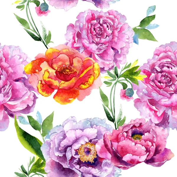 Wildflower peony pink flower pattern in a watercolor style.