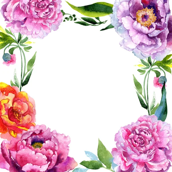 Wildflower peony pink flower frame in a watercolor style. — Stock Photo, Image