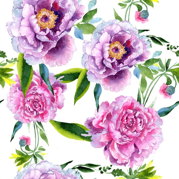 Wildflower piwonia kwiat różowy wzór w stylu przypominającym akwarele. — Zdjęcie stockowe
