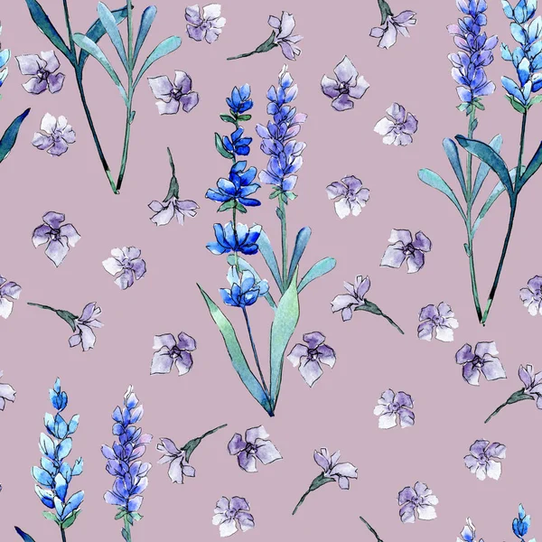 Lavanda azul. Floral flor botânica. Folha de primavera selvagem padrão de flores silvestres em um estilo aquarela . — Fotografia de Stock
