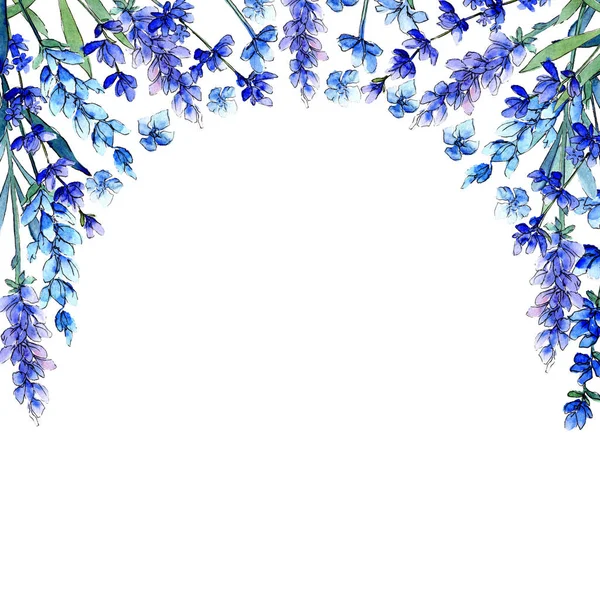 Modrá levandule. Květinové botanické květin. Divoký jarní listí wildflower rám ve stylu akvarelu. — Stock fotografie