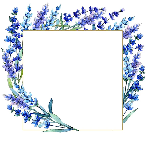 Modrá levandule. Květinové botanické květin. Divoký jarní listí wildflower rám ve stylu akvarelu. — Stock fotografie