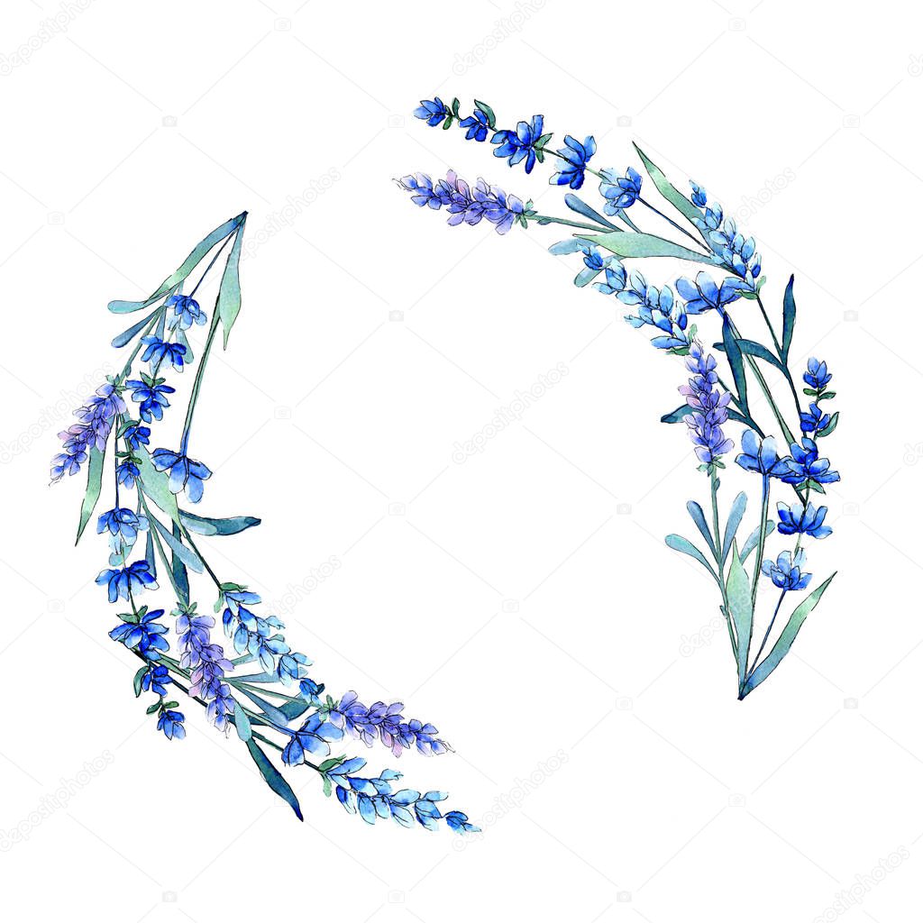Blue lavender. Floral botanical flower. Wild spring leaf wildflower frame in a watercolor style.