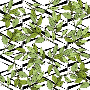 Vektör yeşil laurus yaprak. Yaprak bitki botanik bahçe çiçek yaprakları. Sorunsuz arka plan deseni.