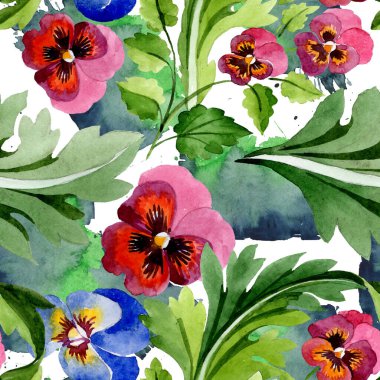 Viyola çiçek botanik çiçekleri ile süs. Suluboya arka plan illüstrasyon seti. Kesintisiz arka plan deseni.