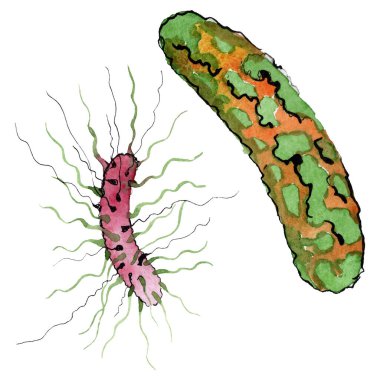 Mikrop veya mikrop el boğma illüstrasyon. Suluboya arka plan seti. İzole mikroorganizma illüstrasyon elemanı.