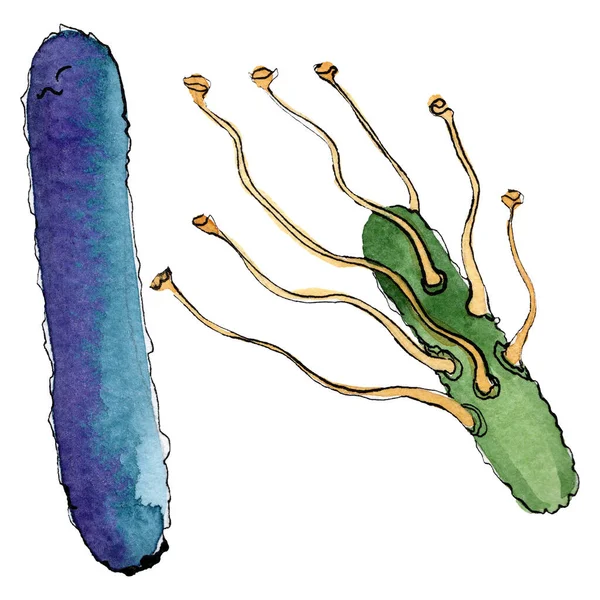 Microbe of kiem hand verdrinken illustratie. Aquarel achtergrond set. Geïsoleerd micro-organisme illustratie element. — Stockfoto