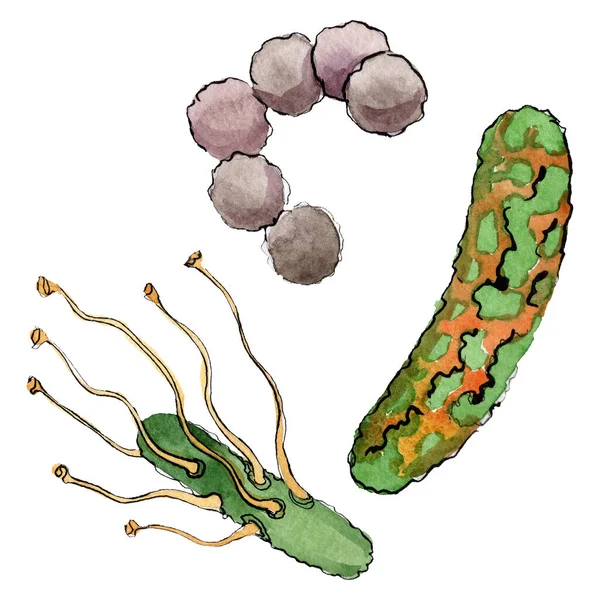 Ilustracja mikroby lub zarodków ręcznie. Zestaw tła akwarelowego. Element ilustracji mikroorganizmu na białym tle. — Zdjęcie stockowe
