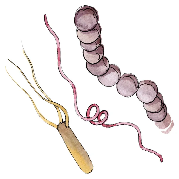 Microbe of kiem hand verdrinken illustratie. Aquarel achtergrond set. Geïsoleerd micro-organisme illustratie element. — Stockfoto