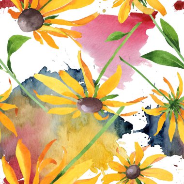 Rudbeckia hirta botanik çiçekleri. Suluboya arkaplan çizimi. Kusursuz arkaplan deseni.