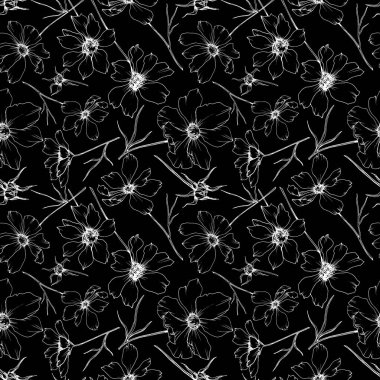 Vektör Cosmos çiçek botanik çiçekler. Siyah ve beyaz oyulmuş mürekkep sanatı. Kesintisiz arka plan deseni.