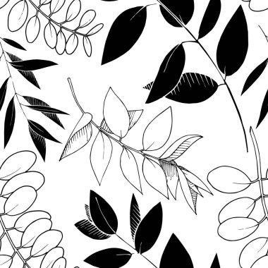 Vektör Okaliptüs daldan ayrılıyor. Siyah beyaz işlemeli mürekkep sanatı. Kusursuz arkaplan deseni.