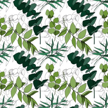 Vektör Okaliptüs daldan ayrılıyor. Siyah beyaz işlemeli mürekkep sanatı. Kusursuz arkaplan deseni.