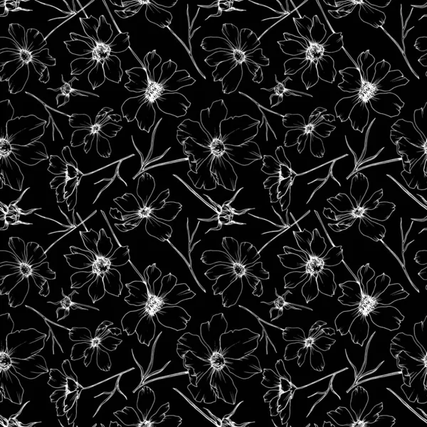 Vector Cosmos flores botânicas florais. Tinta gravada a preto e branco. Padrão de fundo sem costura . — Vetor de Stock