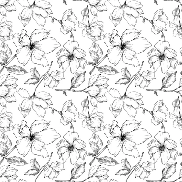 Vector Magnolia floral botanical flowers. Black and white engraved ink art. Seamless background pattern. — ストックベクタ