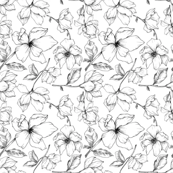 Vector Magnolia flores botánicas florales. Tinta grabada en blanco y negro. Patrón de fondo sin costuras . — Vector de stock