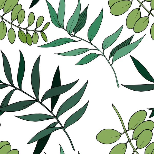 Vektor Eukalyptus verlässt Zweig. Schwarz-weiß gestochene Tuschekunst. nahtloses Hintergrundmuster. — Stockvektor