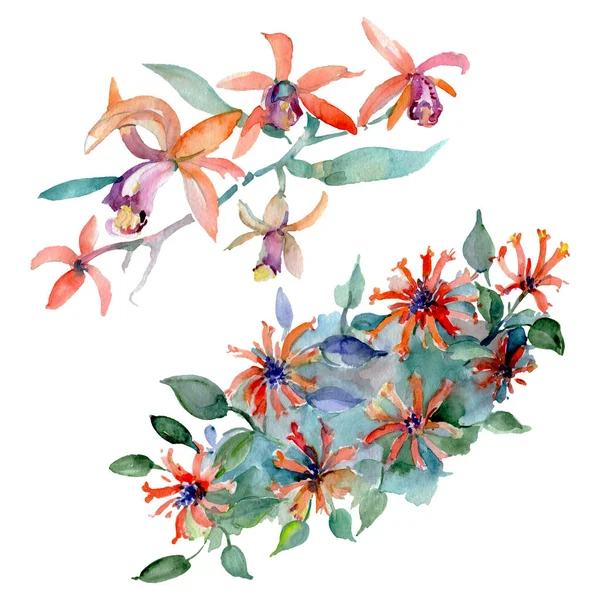 Ramo de flores botánicas florales. Conjunto de ilustración de fondo acuarela. Ramos aislados elemento de ilustración . — Foto de Stock