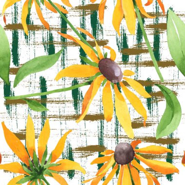Rudbeckia hirta botanik çiçekleri. Suluboya arkaplan çizimi. Kusursuz arkaplan deseni.